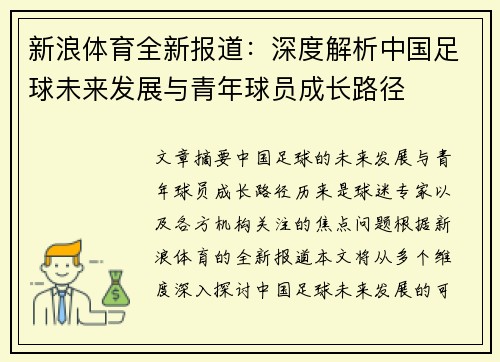 新浪体育全新报道：深度解析中国足球未来发展与青年球员成长路径