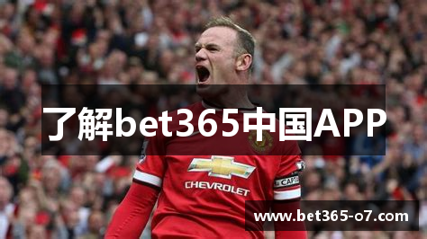 了解bet365中国APP